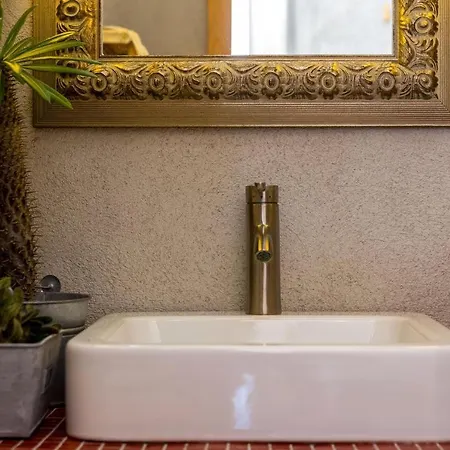 Villa Orange, Small House In A Pine Forest *